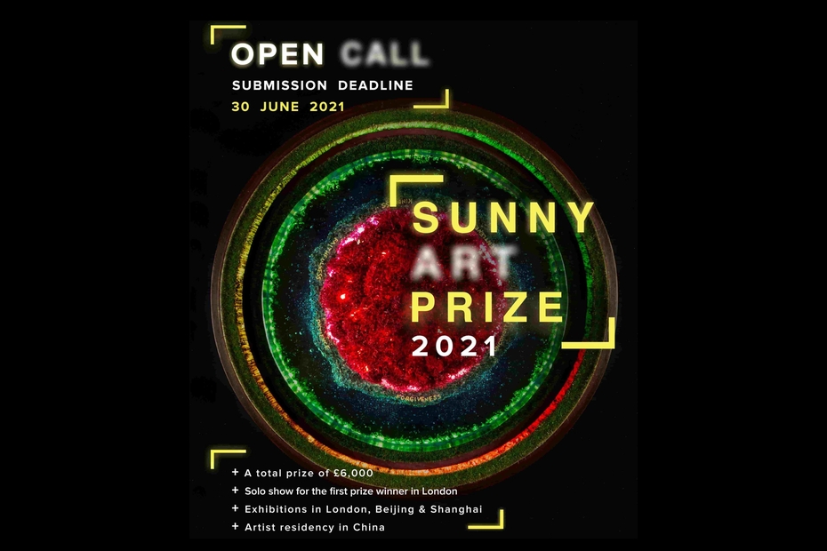 Sunny Art Prize