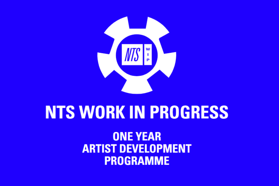 Программа поддержки музыкантов NTS WIP