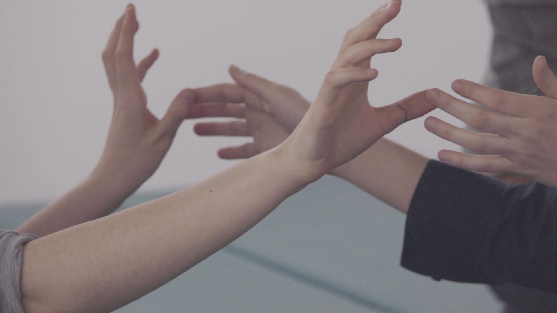 Видео: перформанс «Со-прикосновение» (CO-TOUCH) в HSE Art Gallery