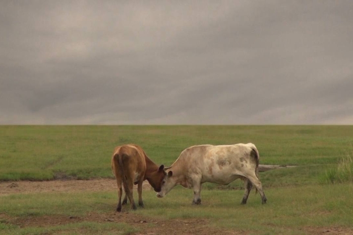 Артист-ток с художницей Александрой Митлянской в Центре Зотов