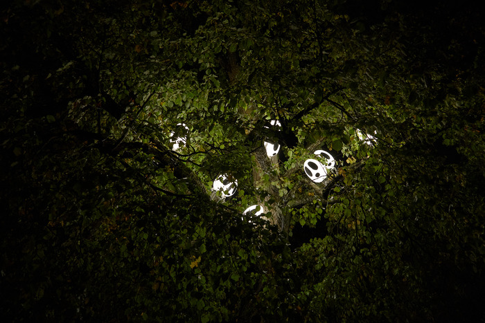 Арт-объекты студентов Школы дизайна на фестивале «Ночь света»