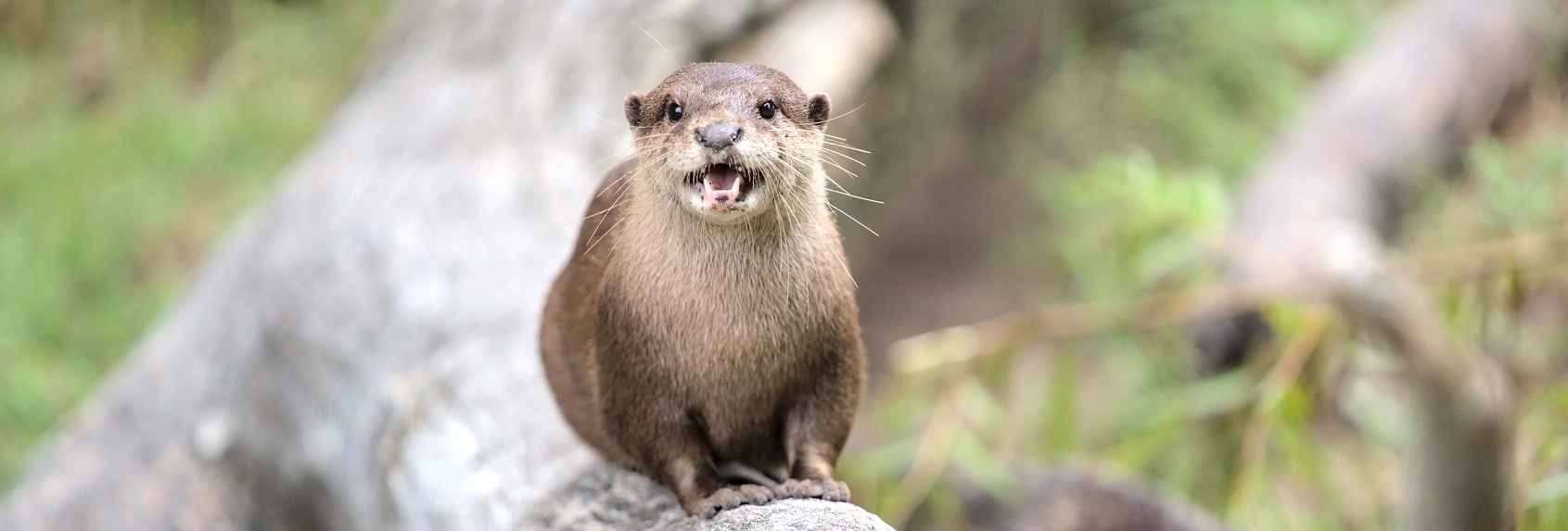 Источник фото: Freepik