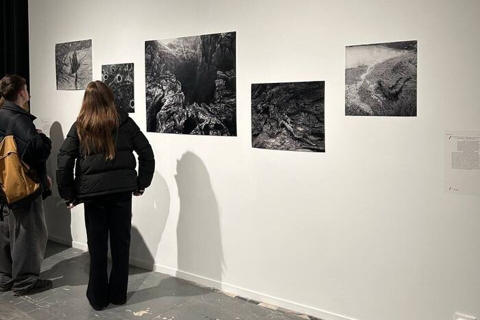 Время и память: китайские художники в «Великом беспорядке» Школы дизайна