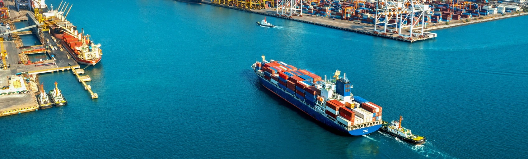 Источник фото: Freepik