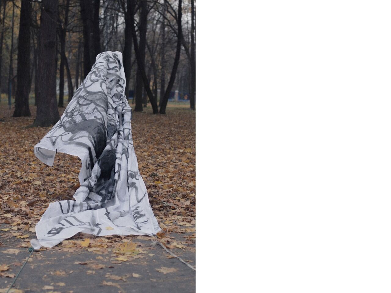 HSE ONLINE GALLERY / Алена Колесникова ACAN