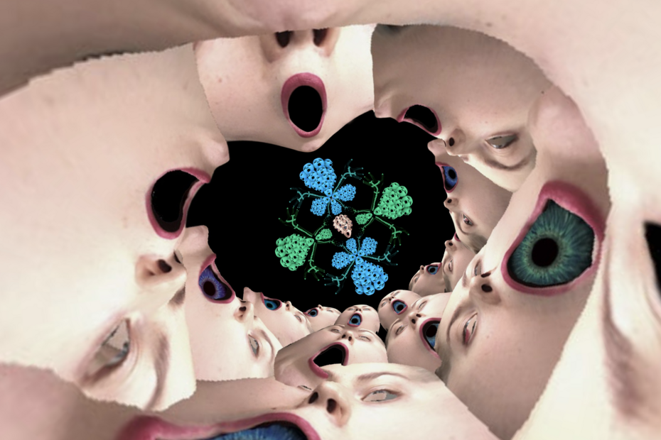 Дайджест проектов HSE ONLINE Gallery. Выпуск #14