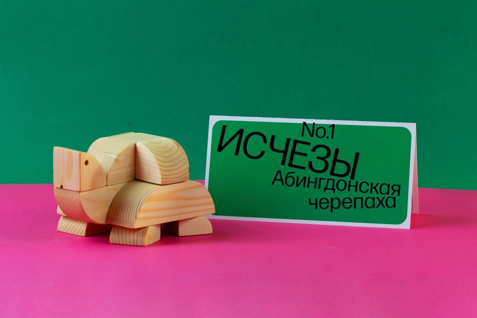 Дмитрий Самсонов, Исчезы, 2022