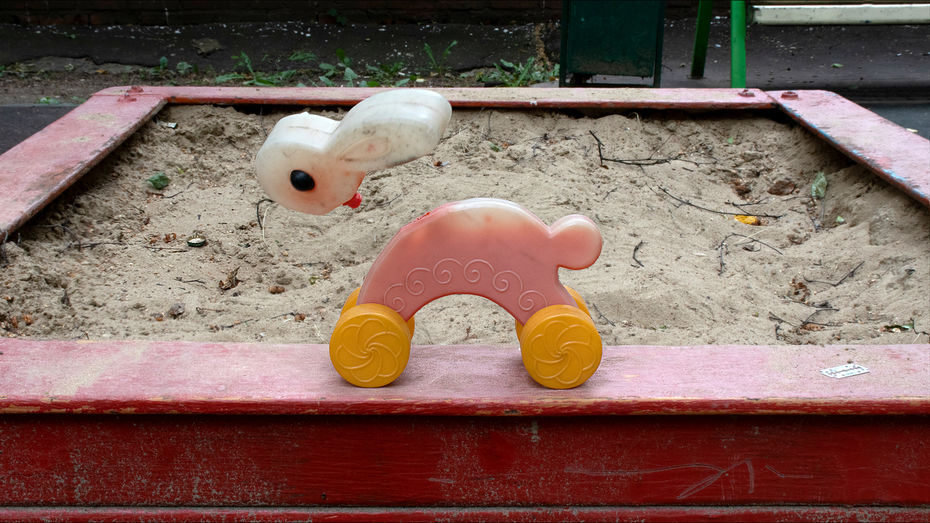 Вероника Соловьёва. зайка, 2023