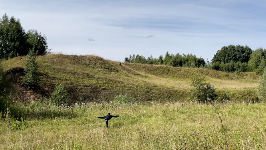 Мария Македонова. Ласточка, 2023