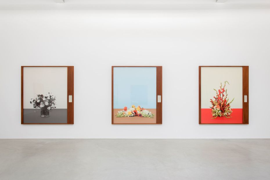 Тарин Саймон, Бумажная волокита и воля капитала, 2015