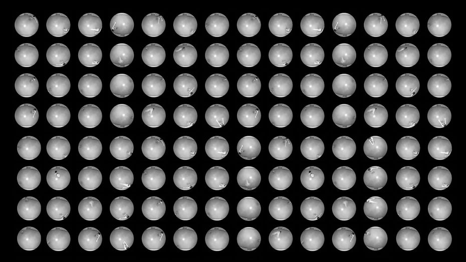 Суржана Ширабдоржиева. Колесо сансары, 2022