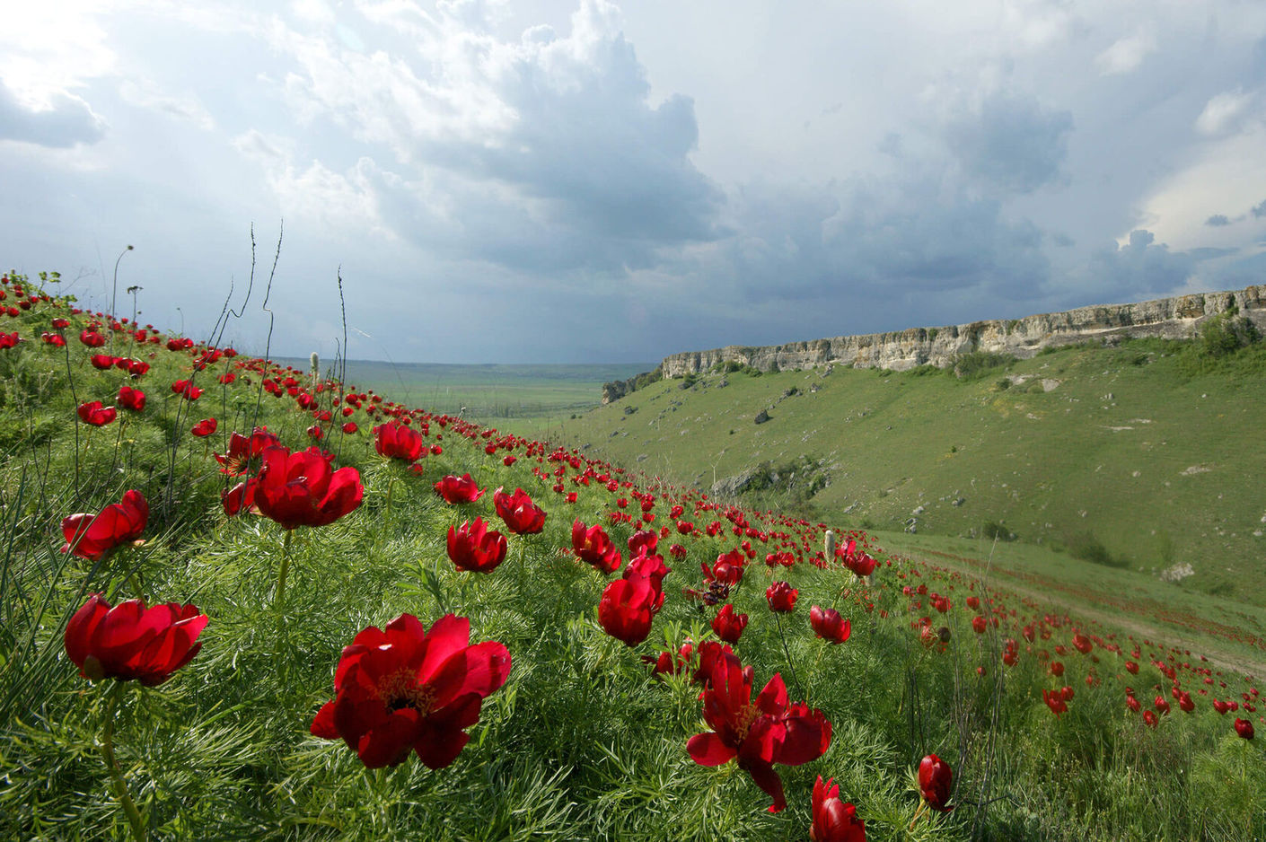 Фото: travelcrimea.com