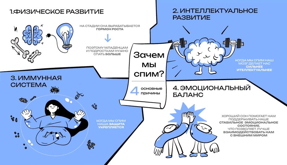 «Зачем мы спим?», Татьяна Орленко