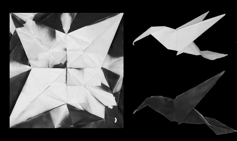 Алёна Герасимчук, София Ким, «Бывшие звери». Бумага, аэрозольная краска