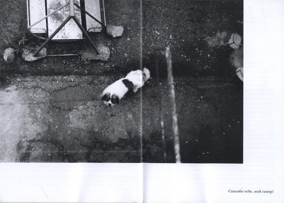 Юлия Кошелева. «Ненастоящий дом». Коллажные иллюстрации и плёночные фотокарточки