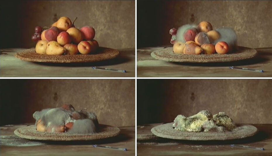 Сэм Тейлор-Вуд, Натюрморт, 2001