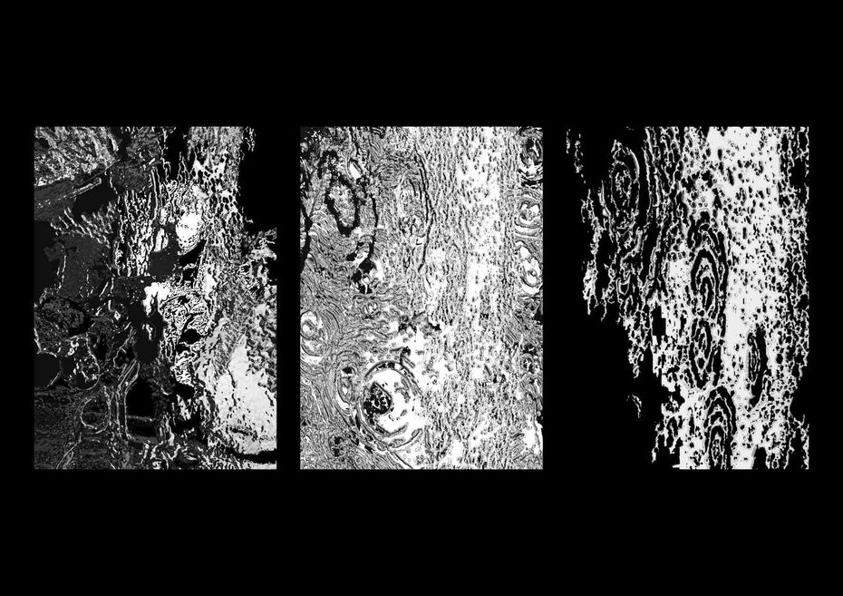 Вероника Кириченко, айдентика галереи «рис. 1»