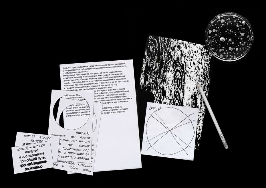 Вероника Кириченко, айдентика галереи «рис. 1»