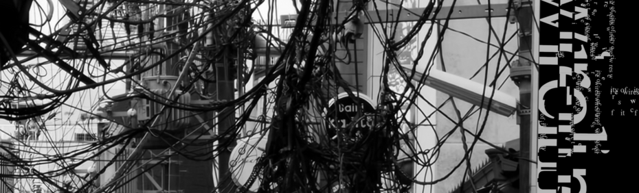 Анастасия Щепина, Wireline, 2024