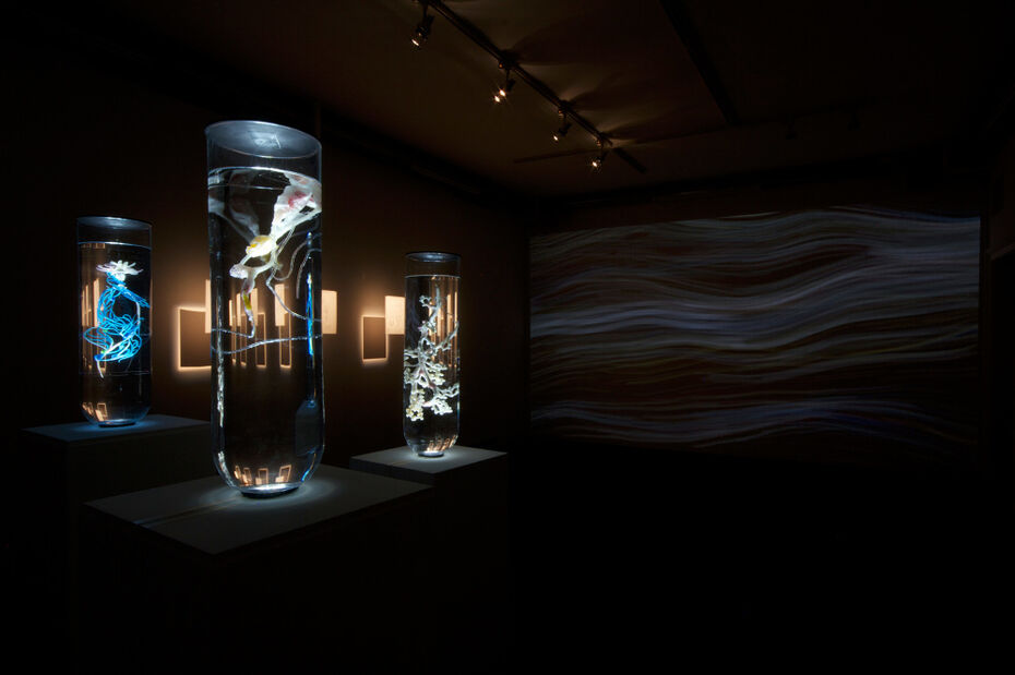 Пинар Йолдаш, Экосистема эксцессов, 2014 