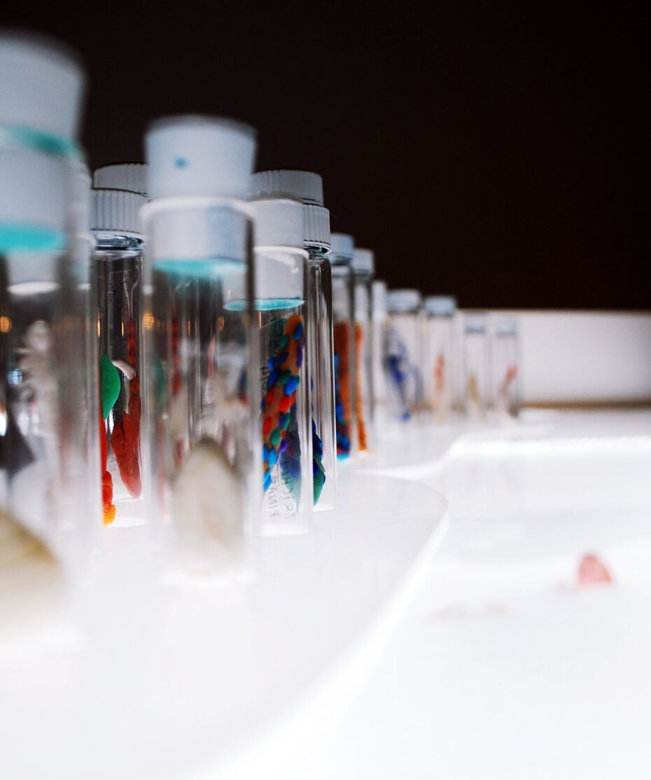 Пинар Йолдаш, Экосистема эксцессов, 2014 