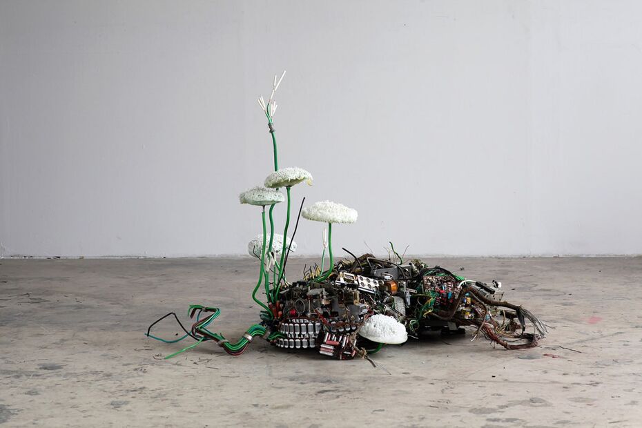 Кристоф Кинтера, Постприрода, 2017