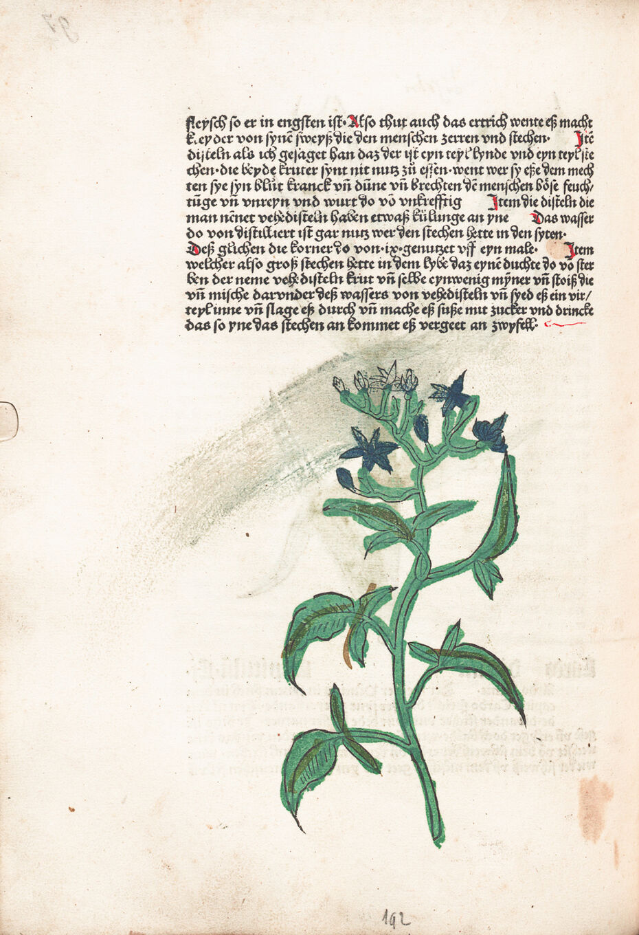 Ил. 16. Иллюстрация из издания: Gart der Gesundheit. Mainz, 1485