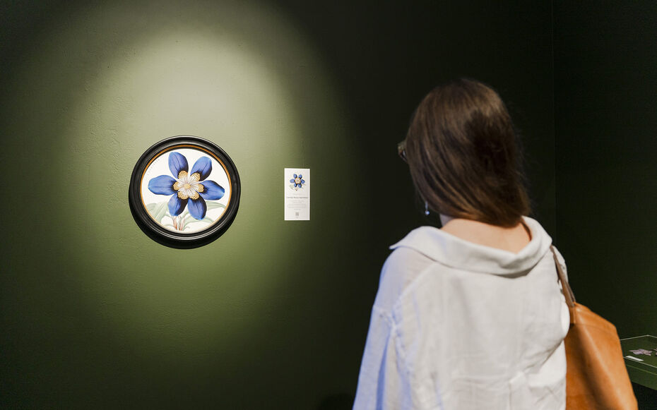 Сноб: О чем говорят цветы? 8 произведений искусства, где флора обретает новое прочтение