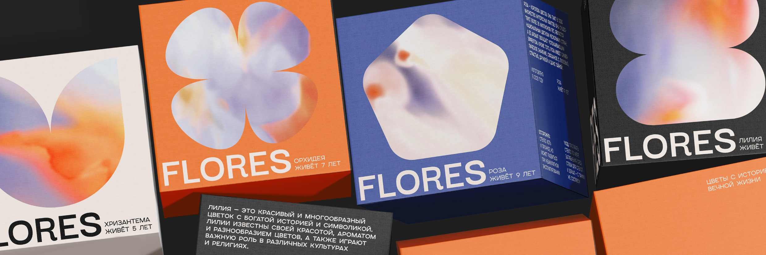 День открытых дверей дополнительного образования