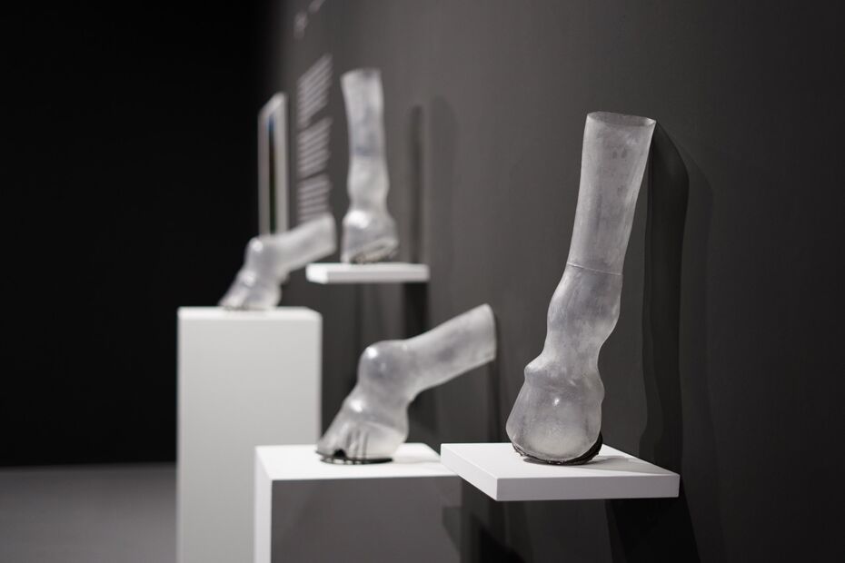 DEL’ARTE Magazine: Шорт-лист. HSE ART GALLERY